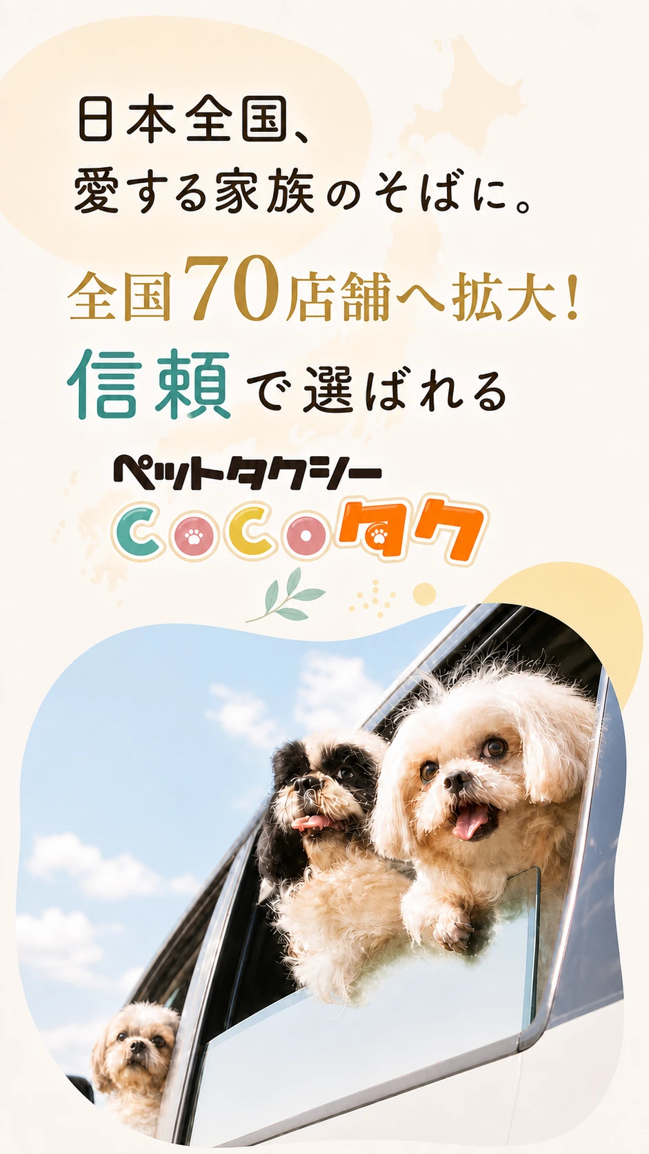 日本全国、愛する家族のそばに。全国70店舗へ拡大。信頼で選ばれるペットタクシーCOCOタク